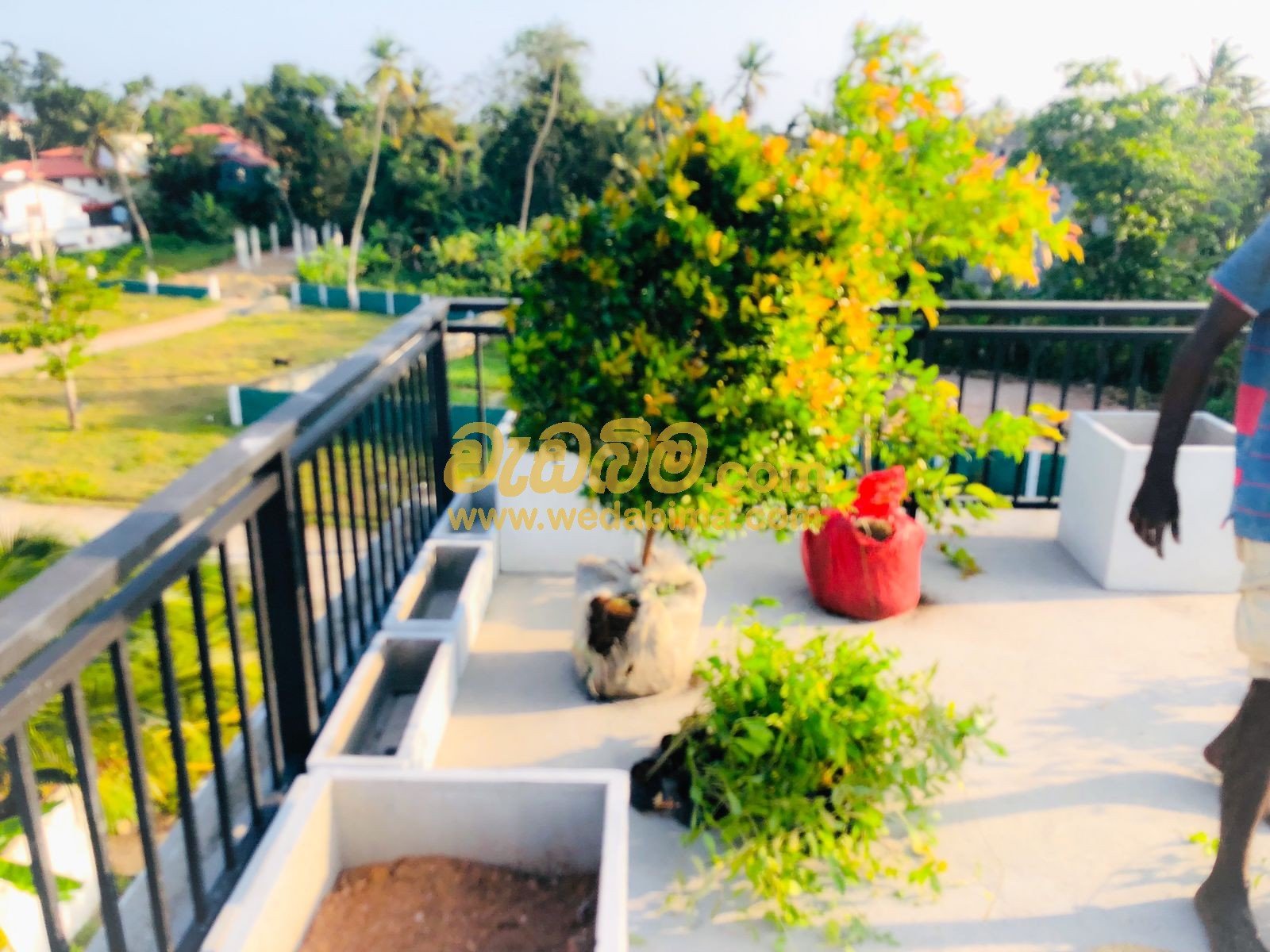 landscaping solution in Matara