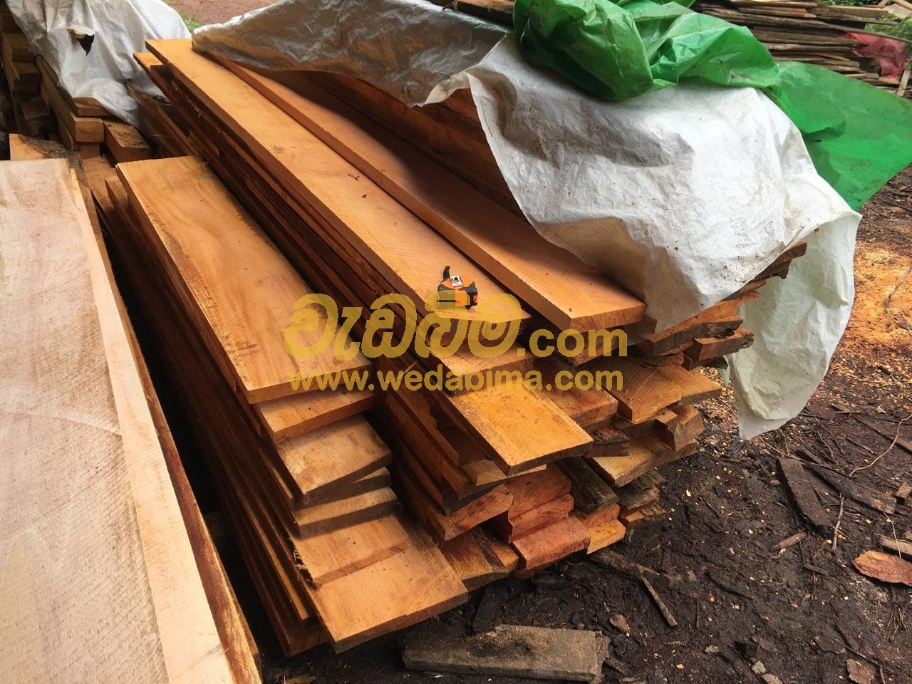 Mahogany Wood price in Kurunegala
