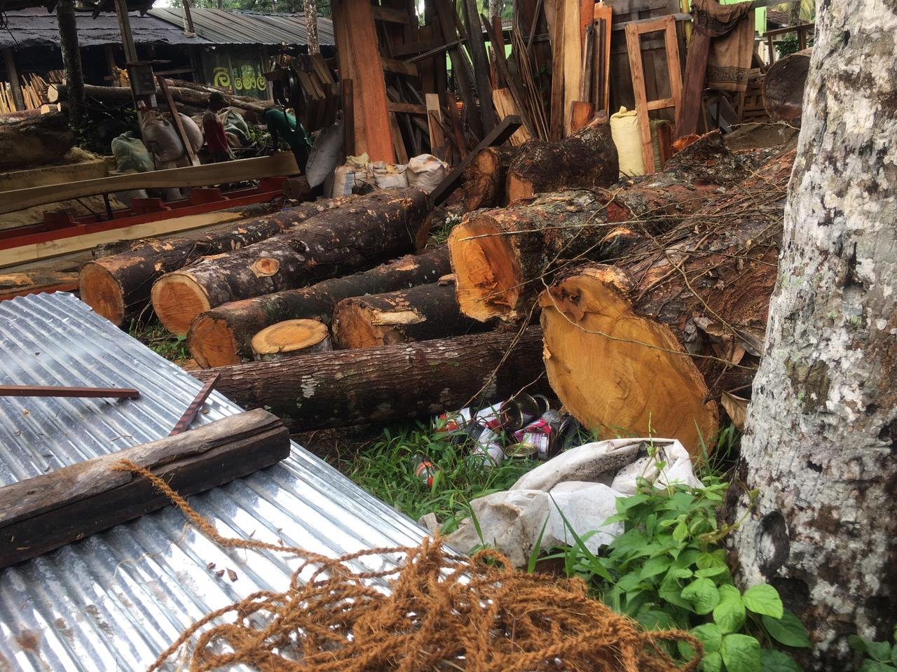 Timber decking contractors Gampaha