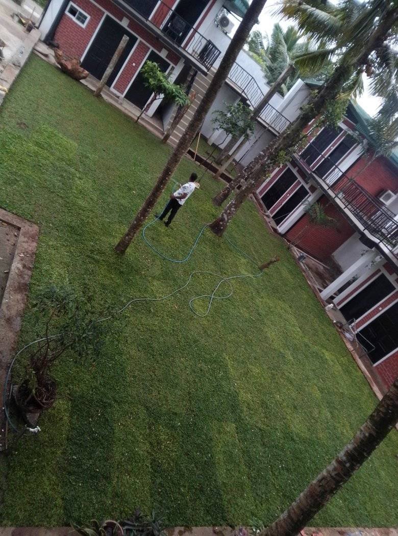 Landscaping & Gardening Solutions colombo