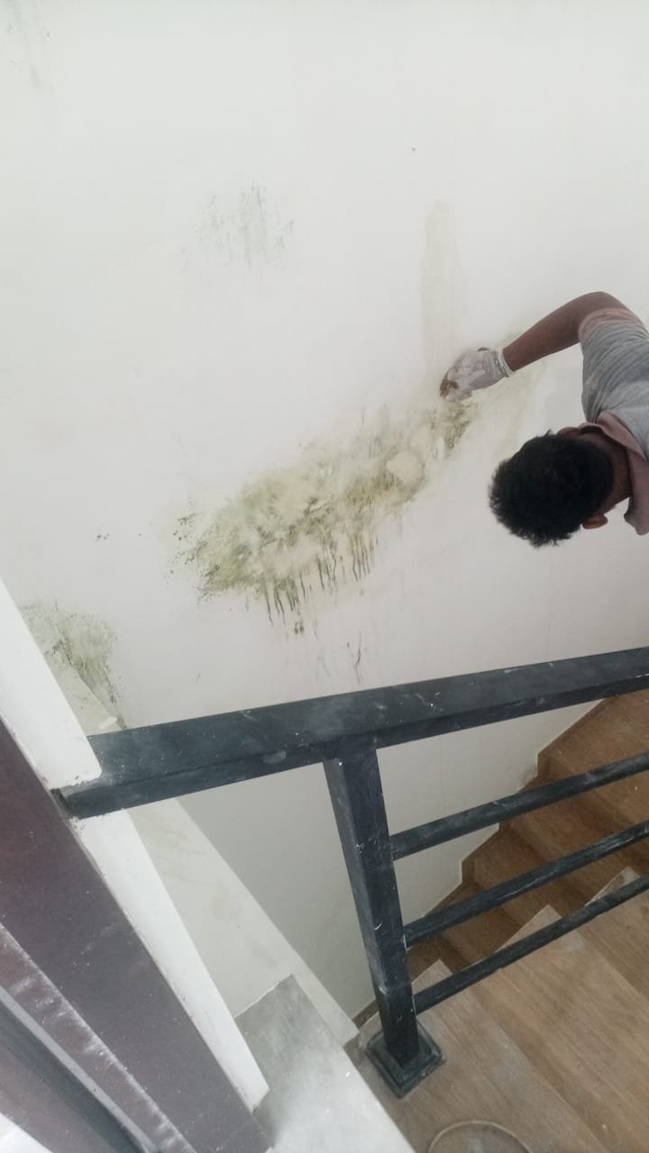 putty Painting Work price in colombo