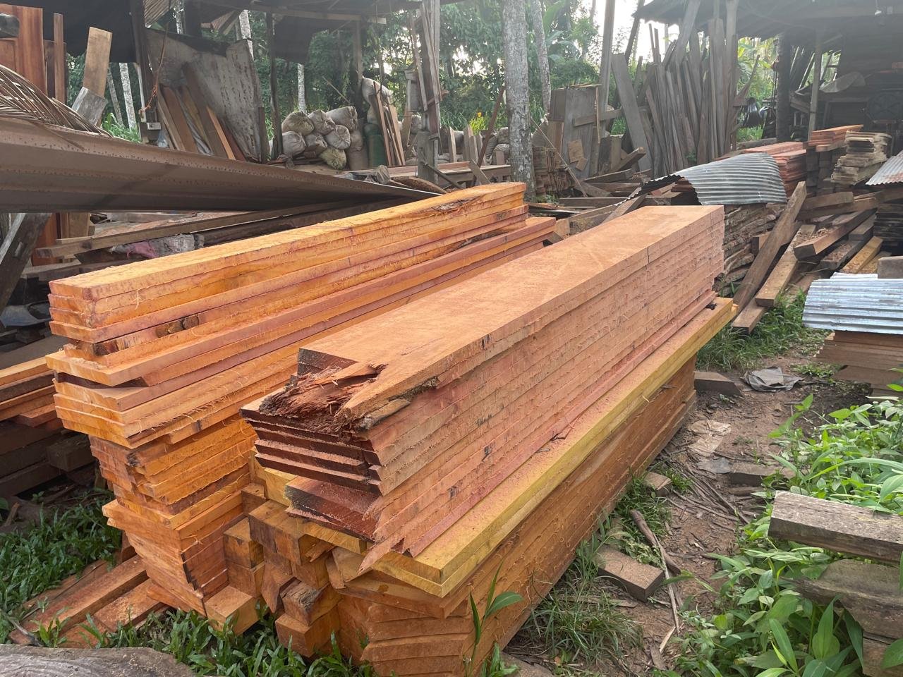 Cover image for Mahogany Wood price in Kurunegala