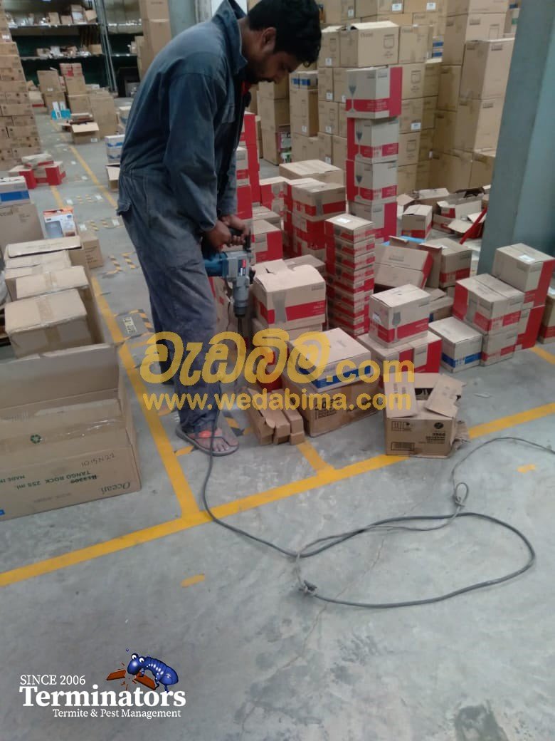 Pest Control Services In jaffna