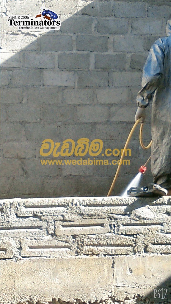termite treatment contractors in Wellawatte