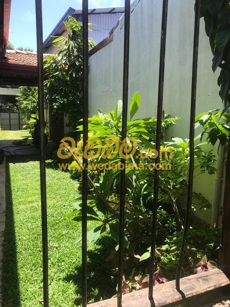 ornamental grass landscape design in Thalawathugoda