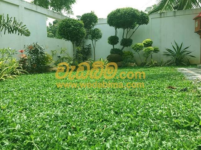 Landscaping work in katuwana
