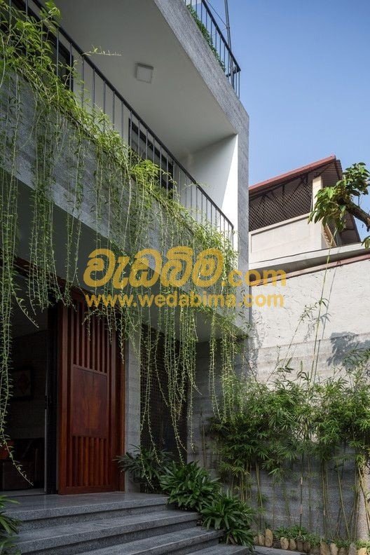 Curtain Creeper for Balcony - Kurunegala