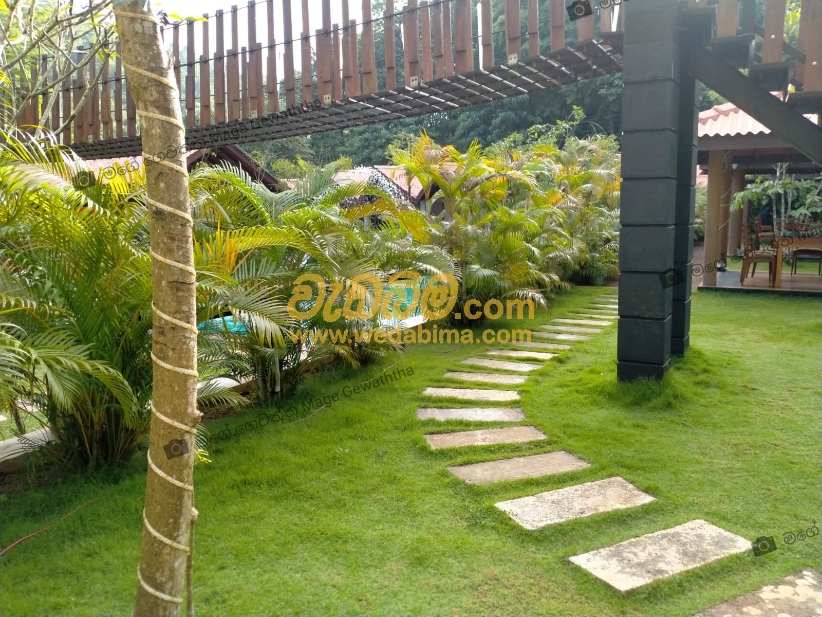 Landscaping Grass Work srilanka