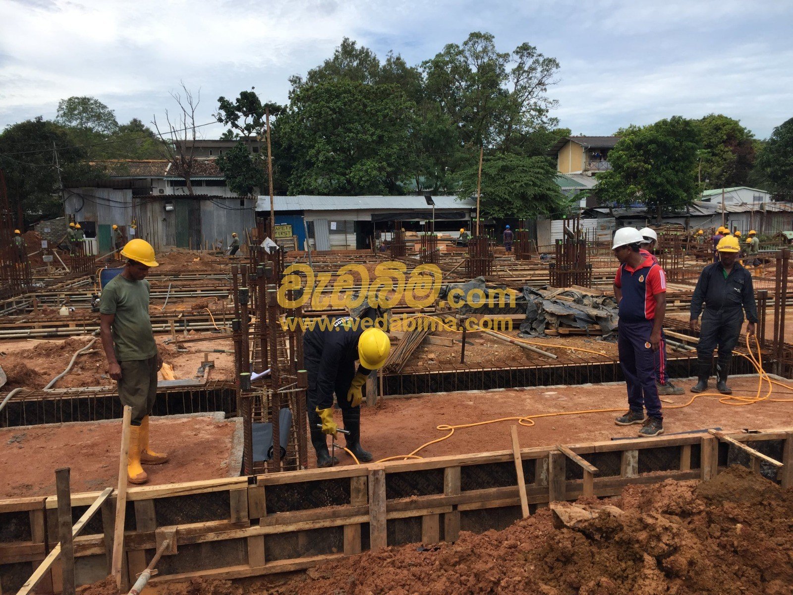 pest control solution in colombo