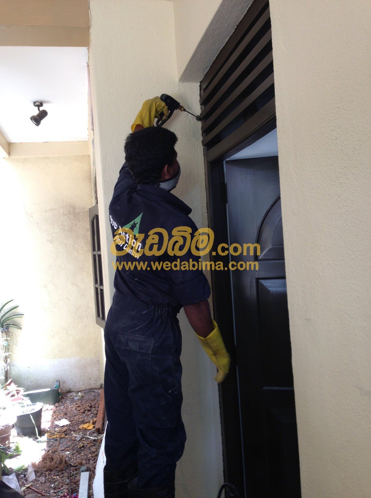 anti termite treatment chemicals in sri lanka