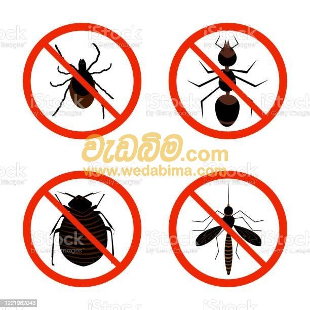 pest control contractors in srilanka