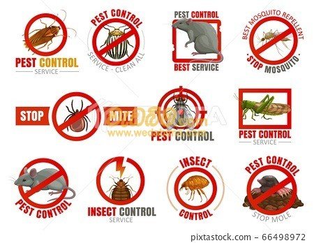 Pest control services kandy
