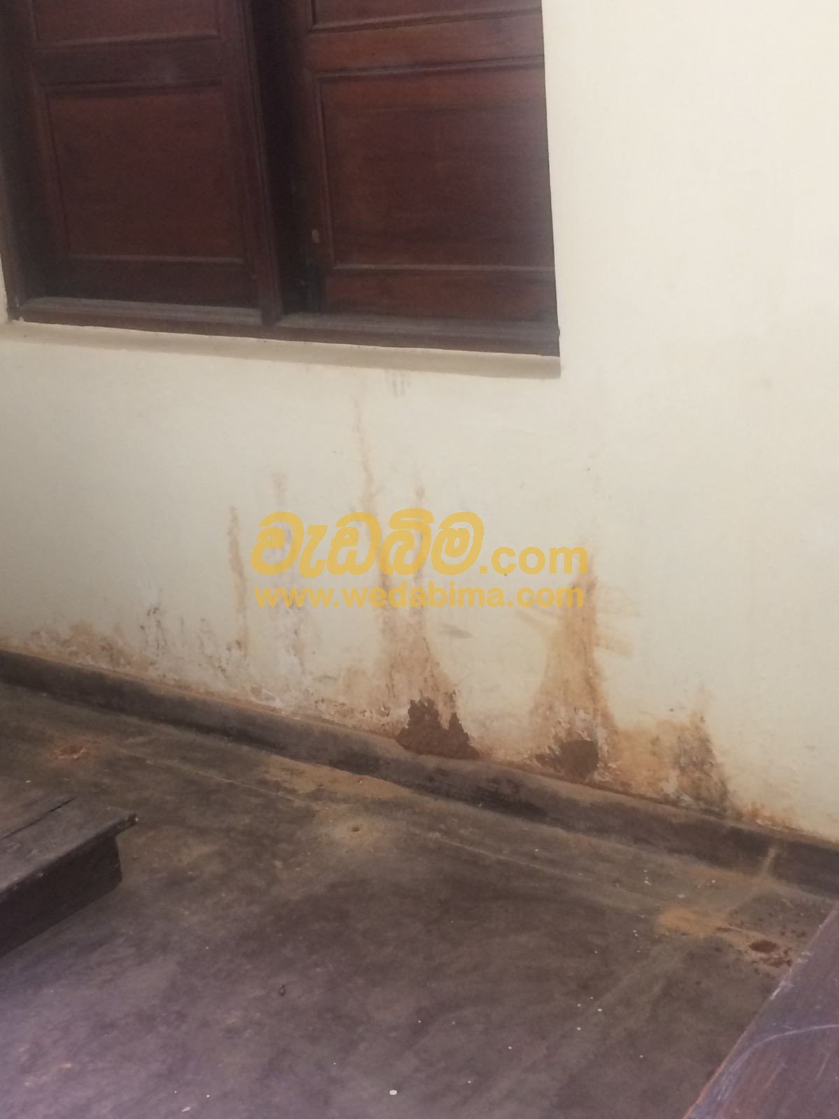 Pest Control Services In Sri Lanka