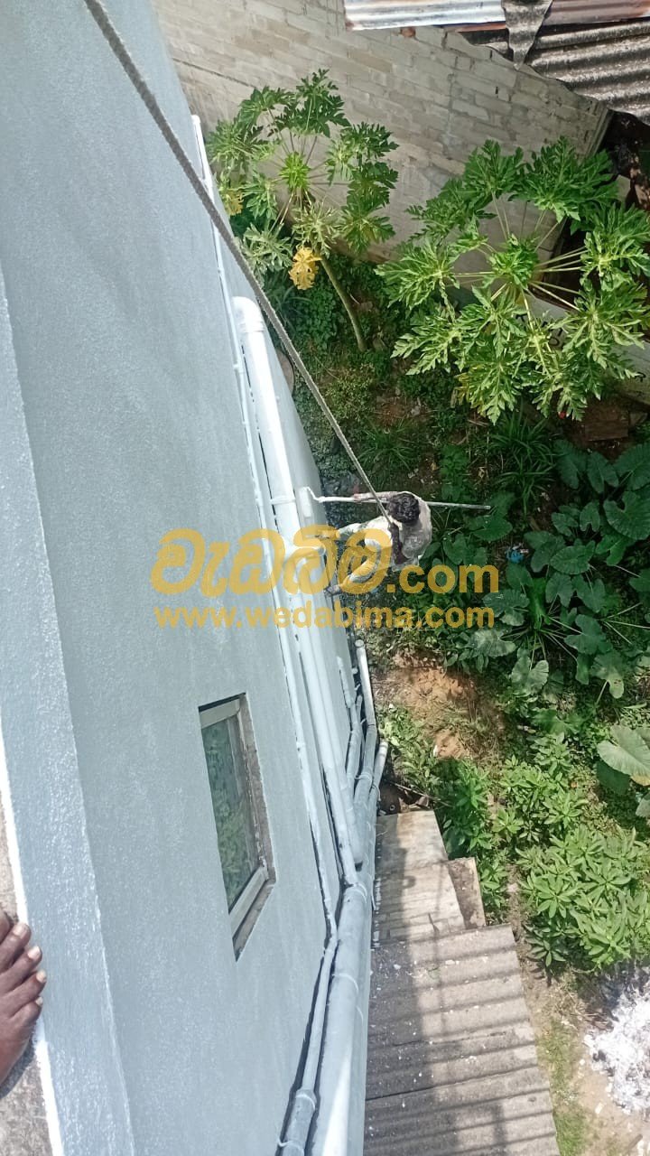 Other image 202505/wedabima.com_hsr91vUsNR1GRce8Jha3fReputooOuf27XHwLGZn.jpeg