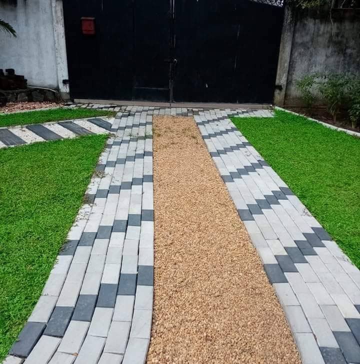 Other image 202508/australian-grass-suppliers-in-negombo-wedabima-2bd5c4a095.jpg