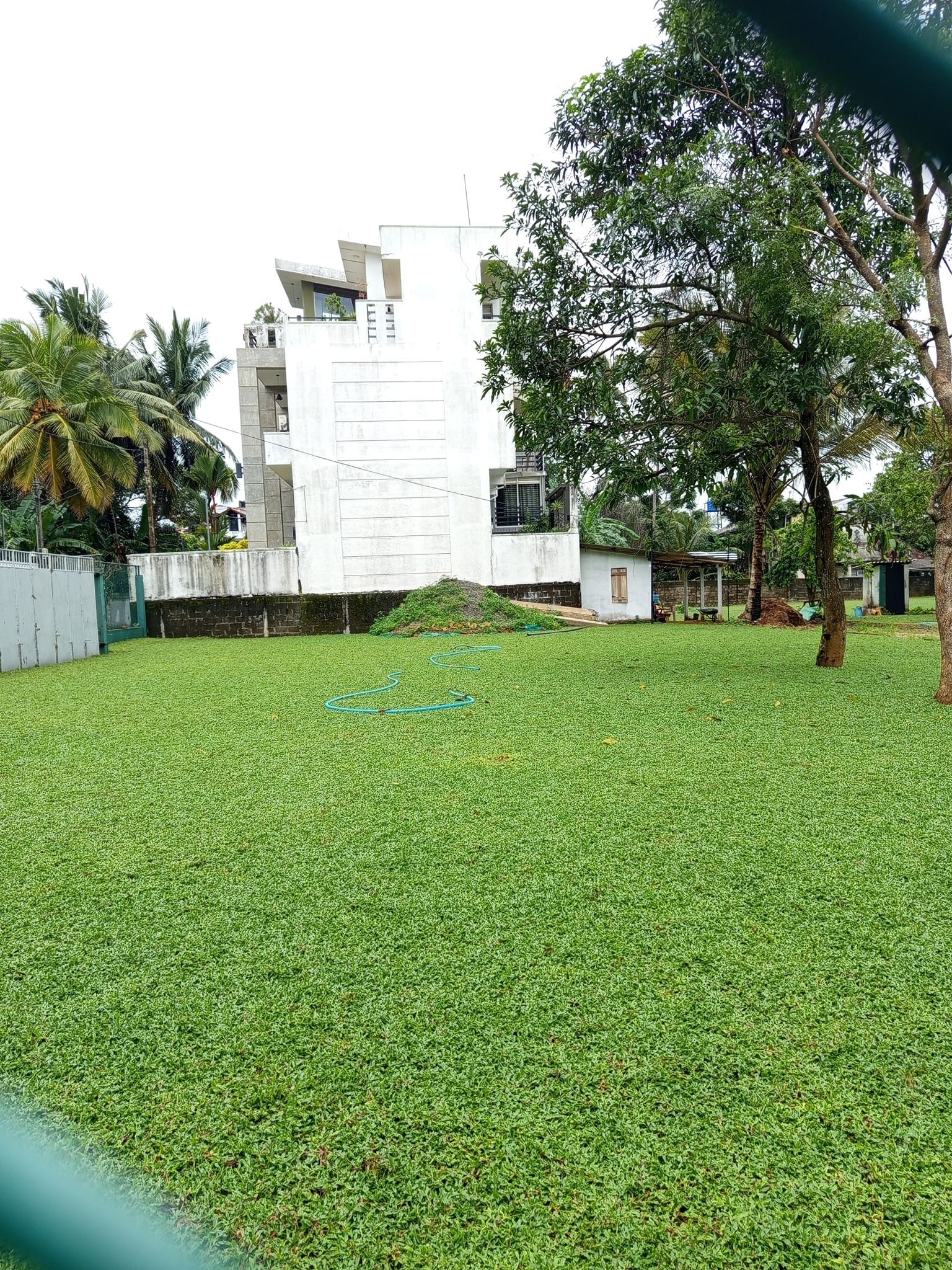 Other image 202508/garden-services-price-in-colombo-wedabima-222d944baf.jpg
