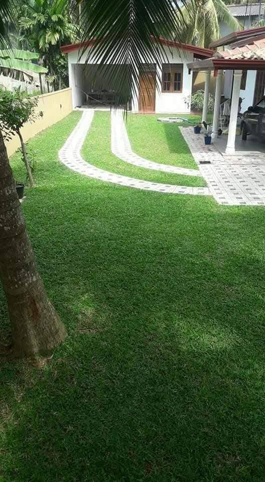 Other image 202508/garden-services-price-in-colombo-wedabima-4ac295d78e.jpg