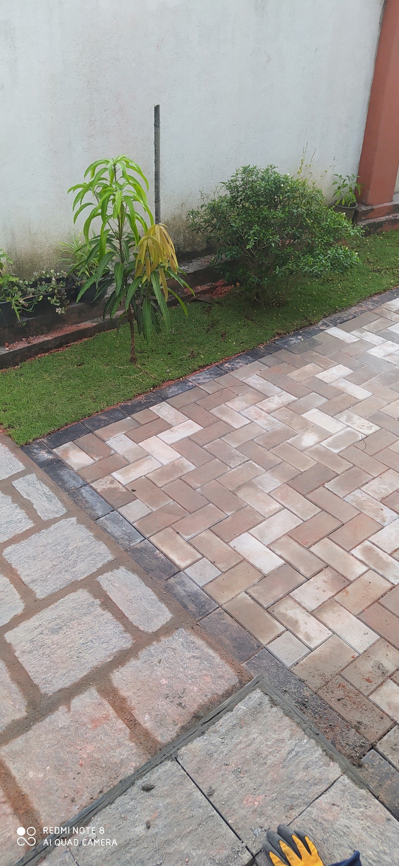 Other image 202508/interlock-price-in-wennappuwa-wedabima-78b4c67a10.jpg