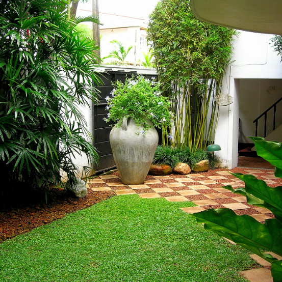 Other image 202508/landscaping-solution-in-negombo-wedabima-32b77bef30.png