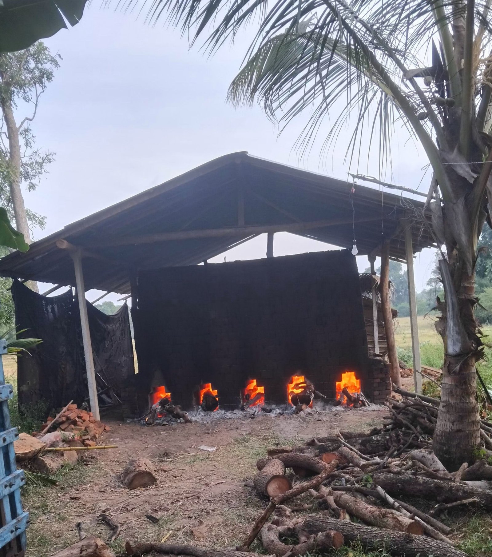 Other image 202509/brick-prices-in-matale-wedabima-0c3447c579.jpg