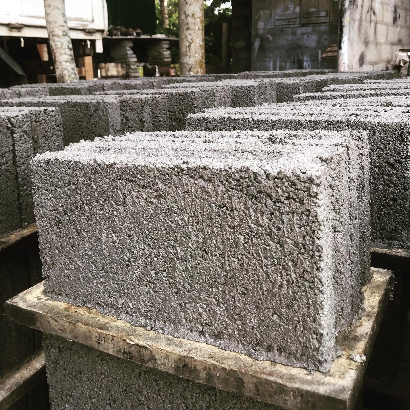 Other image 202509/cement-blocks-price-in-matale-dambulla-wedabima-576d8688be.jpg
