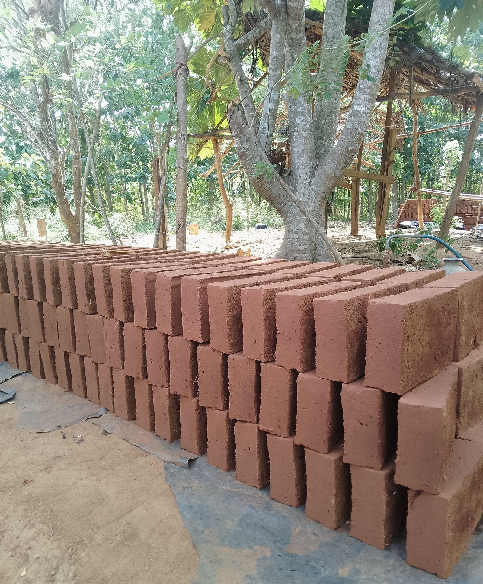 Other image 202509/gadol-suppliers-in-near-matale-wedabima-42457b3197.jpg
