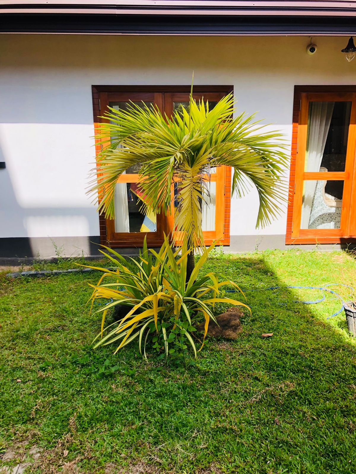 Other image 202509/landscaping-services-kottawa-wedabima-95e41e9324.jpeg
