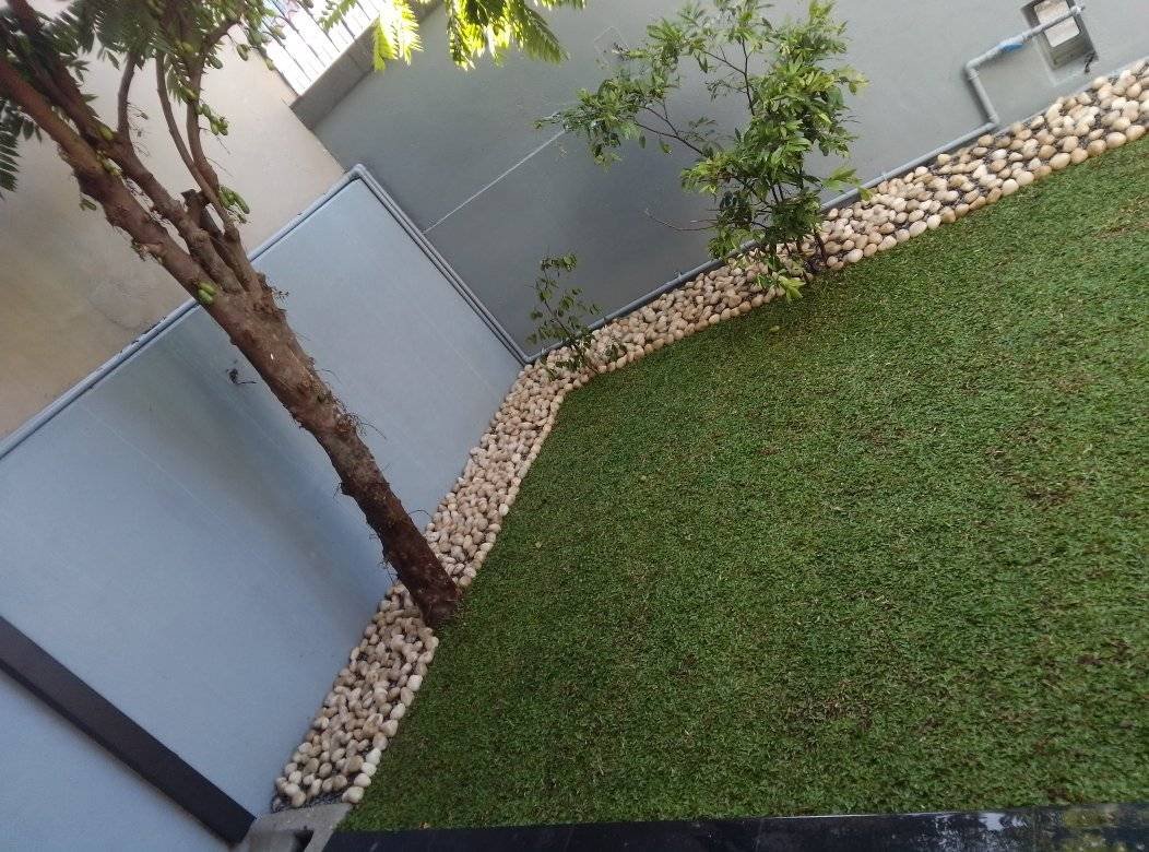 Other image 202510/australian-grass-fixing-kotte-wedabima-ae797ff049.jpg