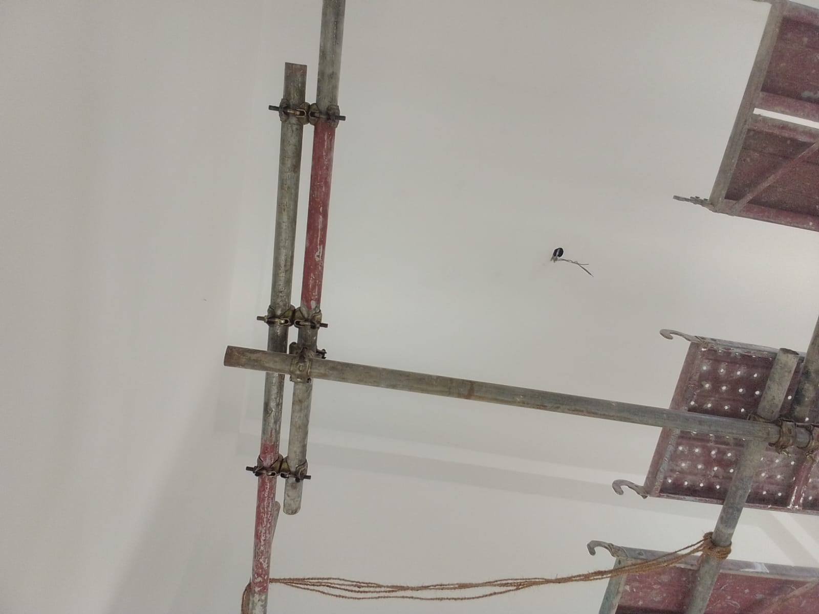 Other image 202510/building-painting-rates-galle-wedabima-877689ad0f.jpg