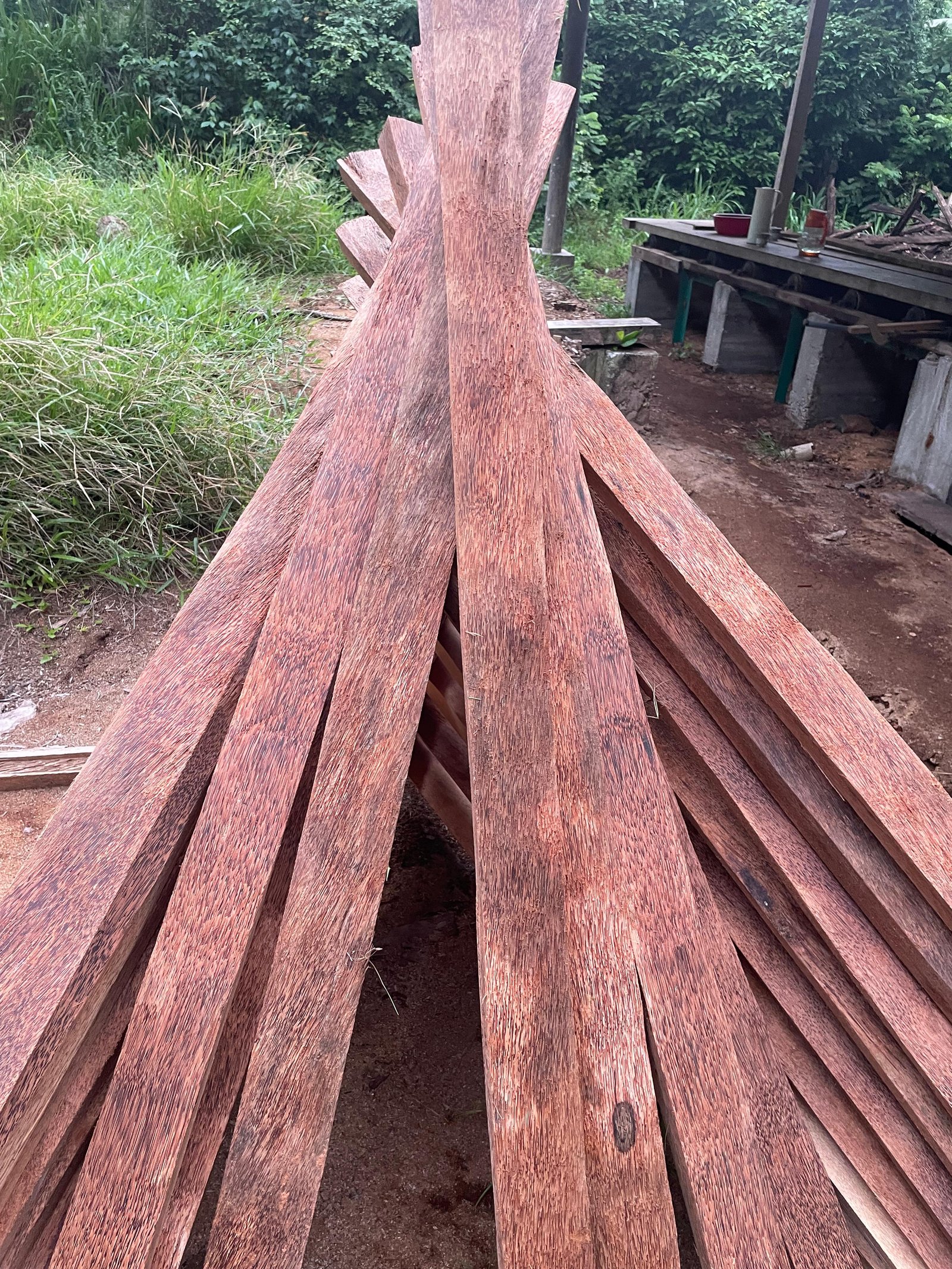 Other image 202510/wood-suppliers-in-sri-lanka-wedabima-ac2dbd5465.jpeg