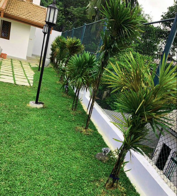 Other image 202602/landscaping-and-garden-services-price-in-peradeniya-wedabima-5ac3caf06b.png