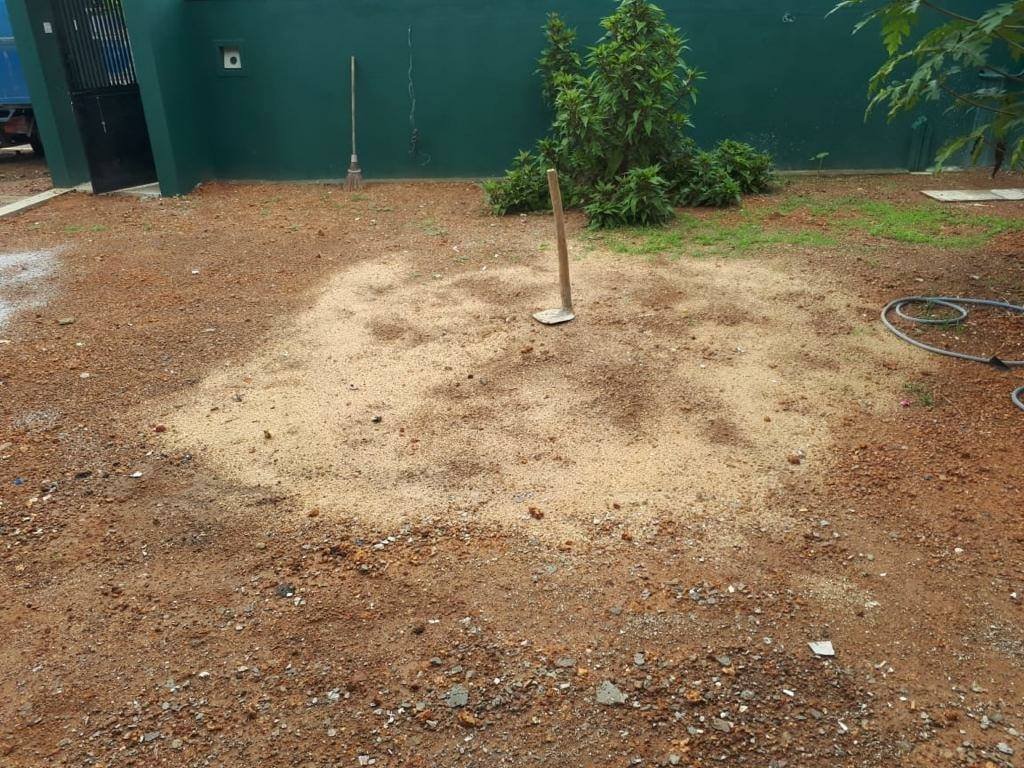 Other image 202602/landscaping-and-garden-services-price-in-peradeniya-wedabima-7b48522c57.jpg