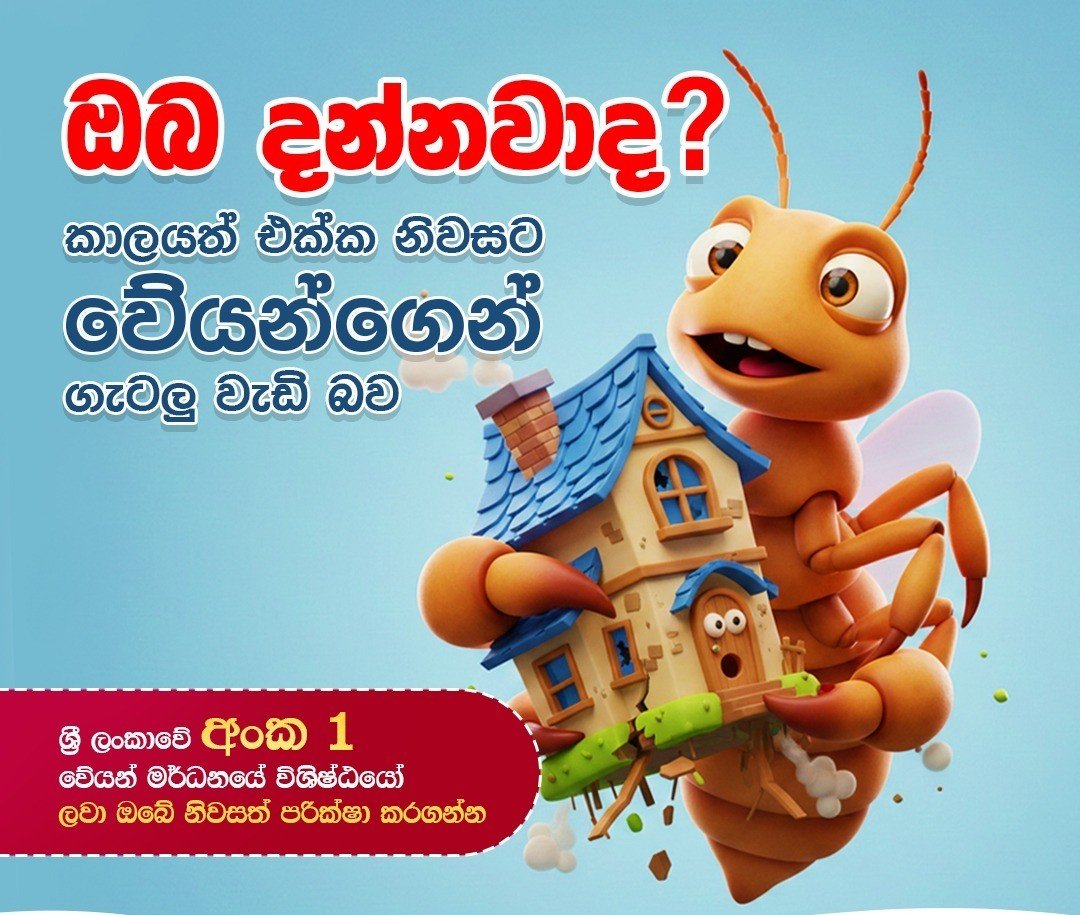 Other image 202608/anti-termite-treatment-chemicals-in-sri-lanka-wedabima-d7e05359c0.jpeg