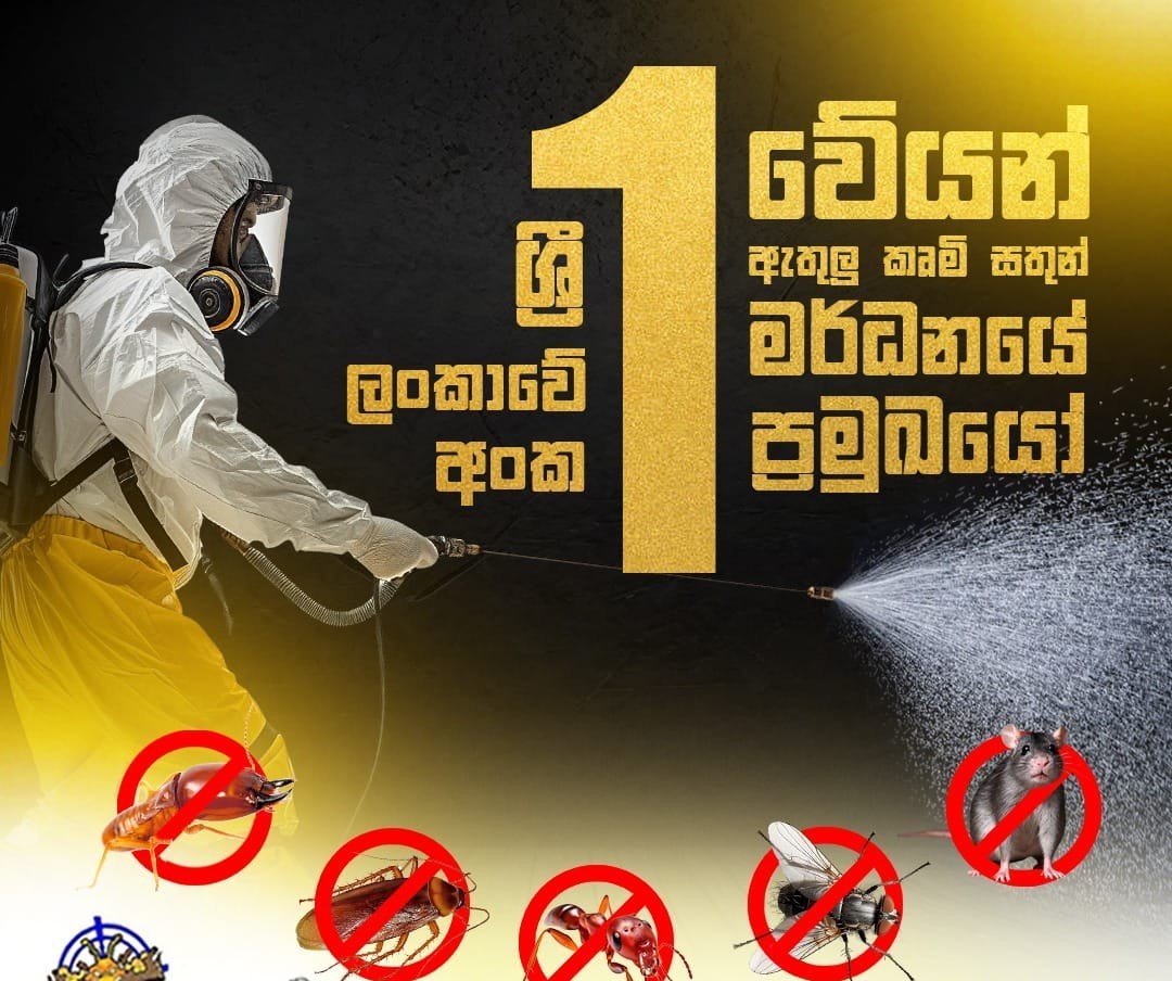 Other image 202608/pest-control-services-in-colombo-wedabima-2ce07930b4.jpeg