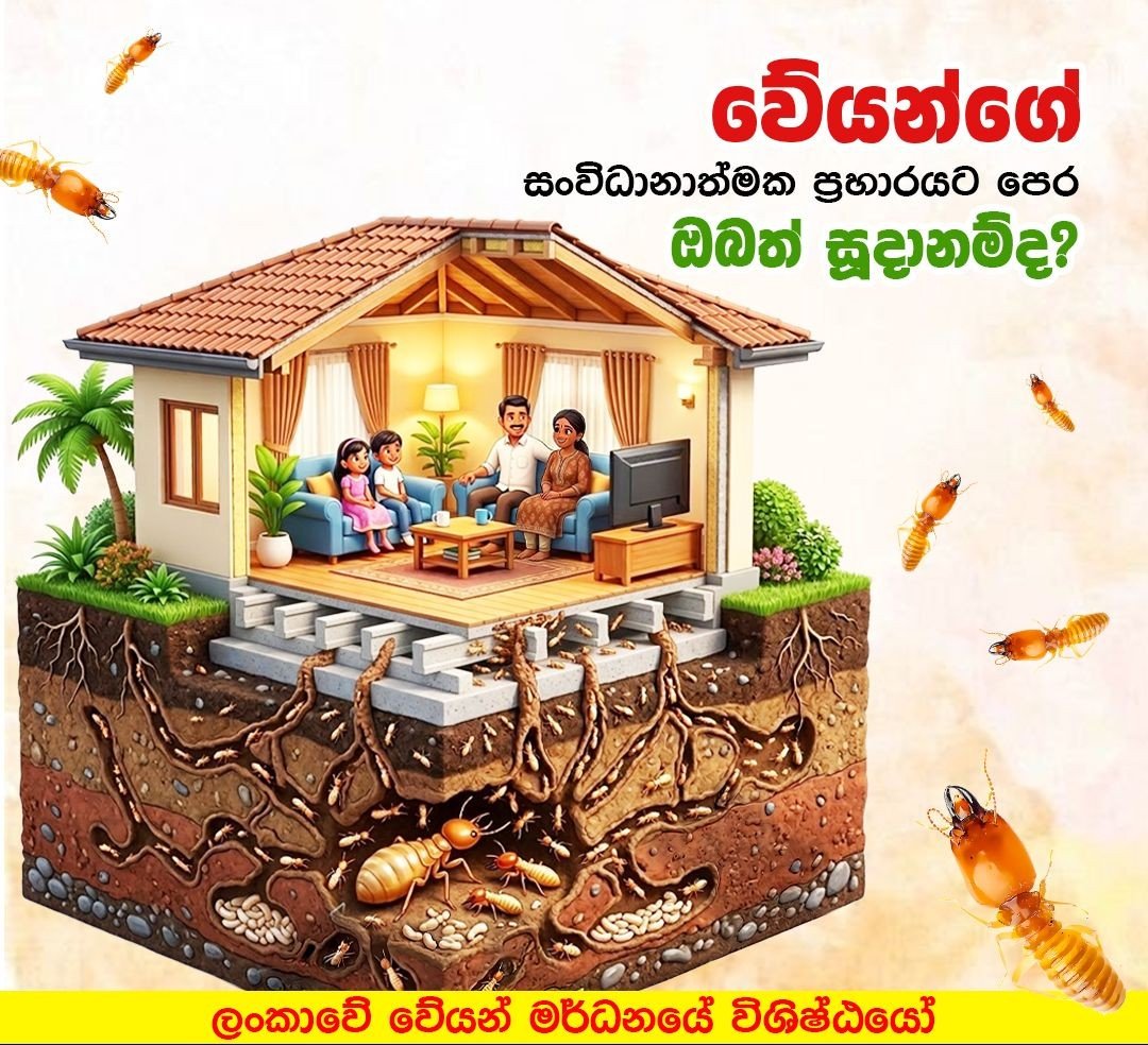 Other image 202608/pest-control-services-in-colombo-wedabima-dca519c7fd.jpeg