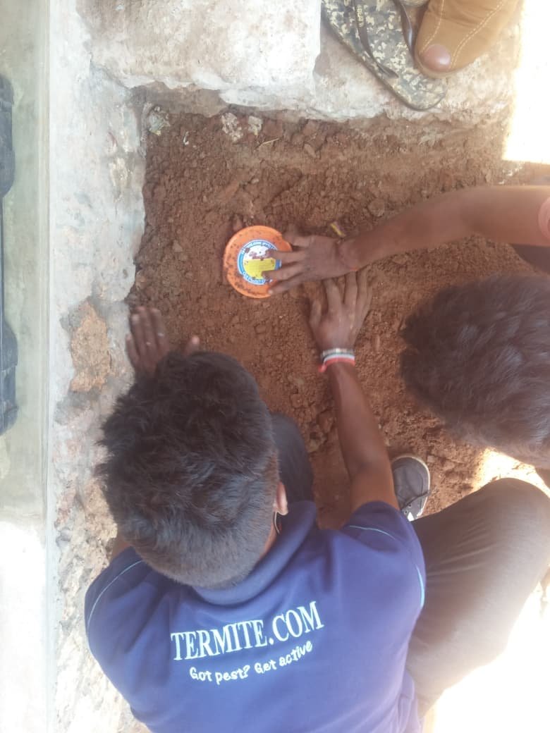 Other image 202608/pest-control-services-in-kurunegala-wedabima-6991501cbe.jpeg