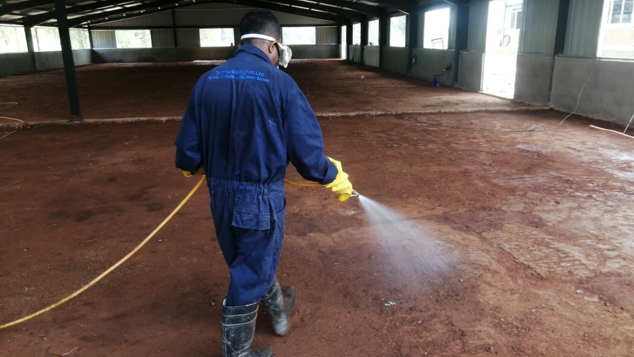 Other image 202608/pest-control-solution-in-kurunegala-sri-lanka-wedabima-a49fb92abc.jpeg