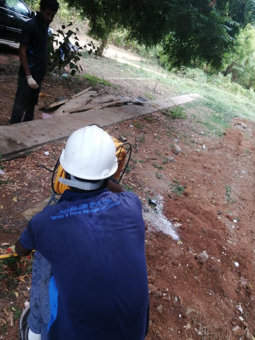 Other image 202608/termite-treatment-kurunegala-wedabima-09fc9c2adf.jpeg