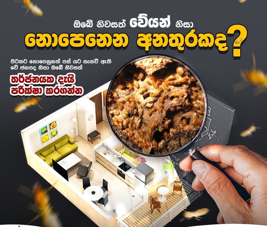 Other image 202608/termite-treatment-kurunegala-wedabima-8ef0272fdd.jpeg