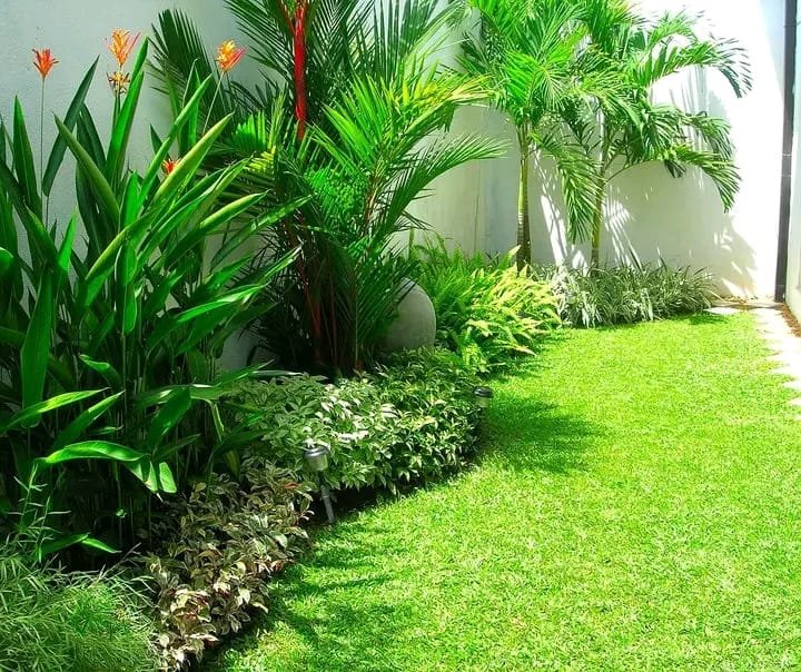 Other image 202609/bermuda-grass-colombo-wedabima-81a4db0ecc.jpeg