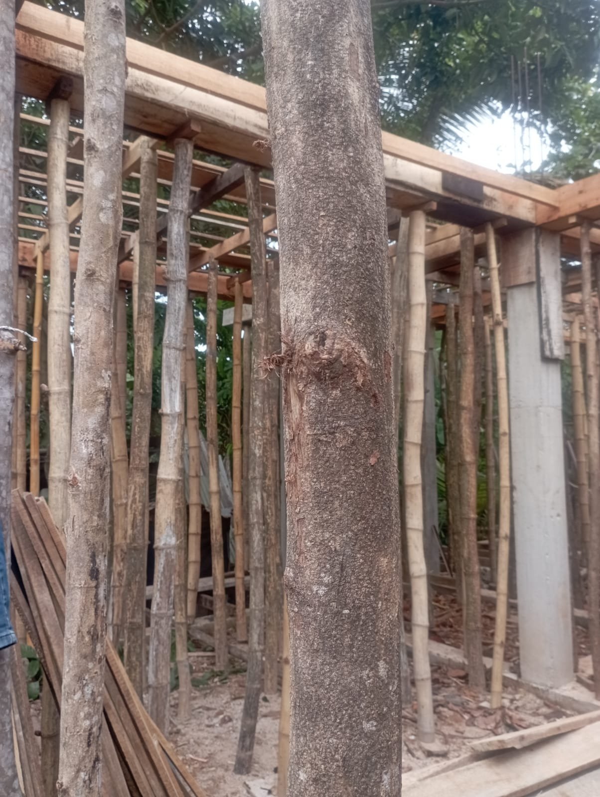 Other image 202609/home-construction-and-maintaince-colombo-wedabima-dc52c9185e.jpeg