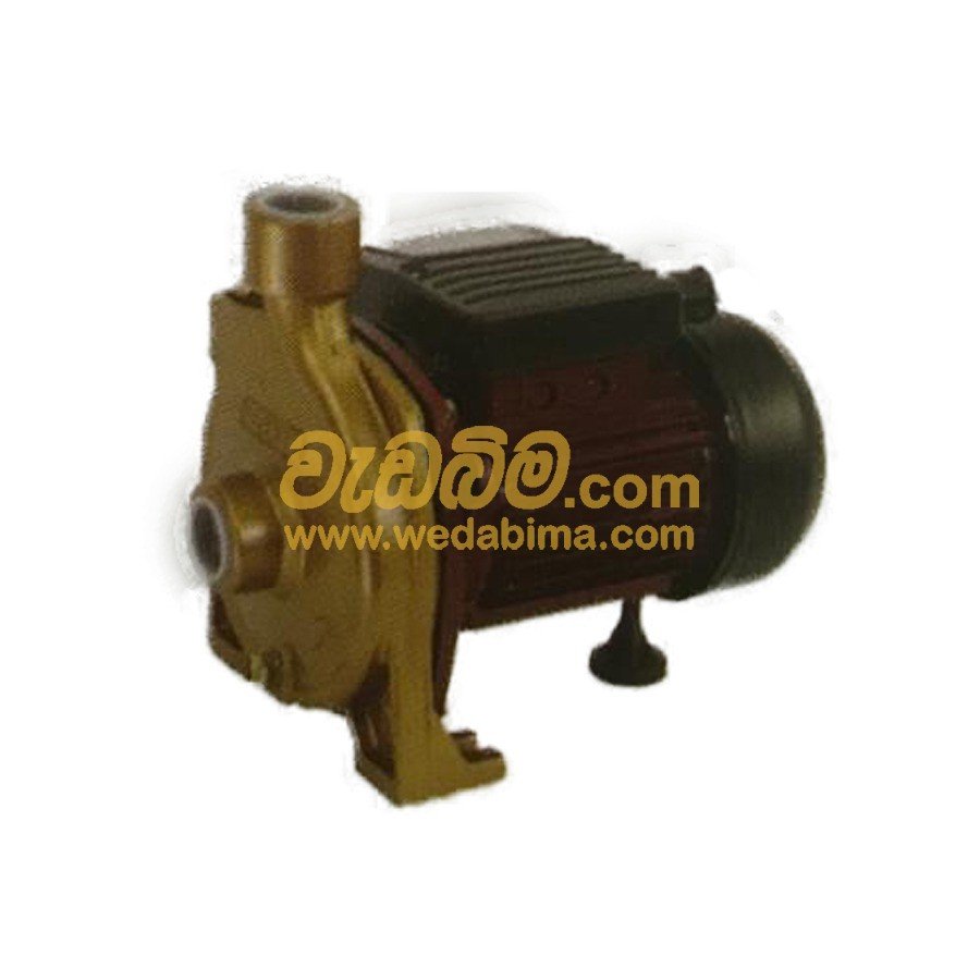 1 HP Water Pump