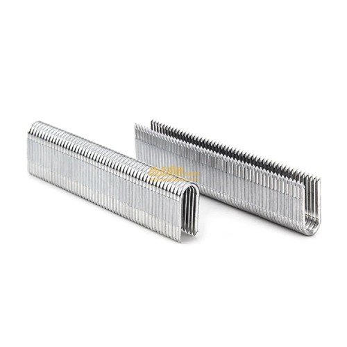 30mm Crown Staple